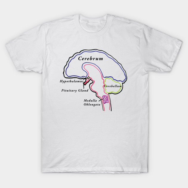 BRAIN BRAIN BRAIN